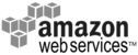 Amazon Services Logo
