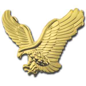 Die Cast Processed Eagle Lapel Pin