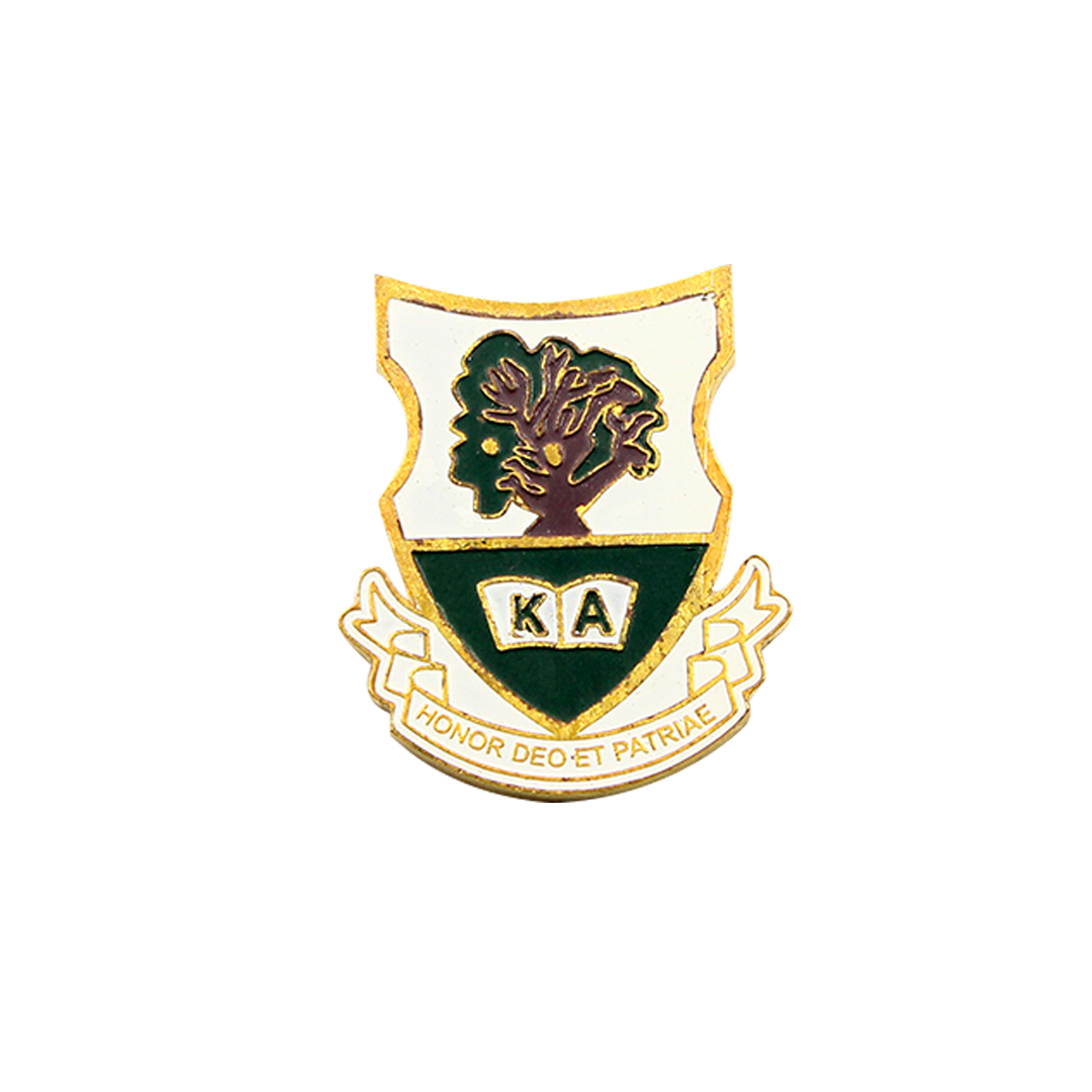 School lapel pins university badges college pin pins for schools